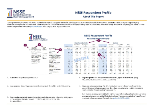 sample page of NSSE Respondent Profile 