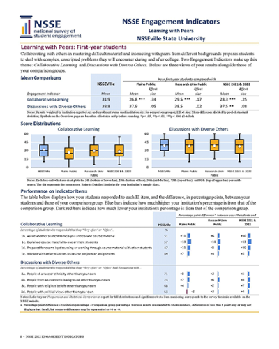 sample page of NSSE Engagement Indicators
