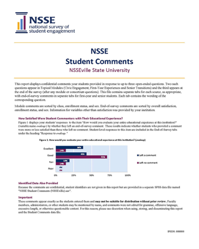 sample page of NSSE Student Comments Report