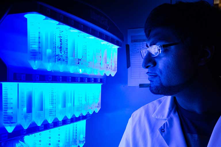 A student looks at a row of glowing test tubes.