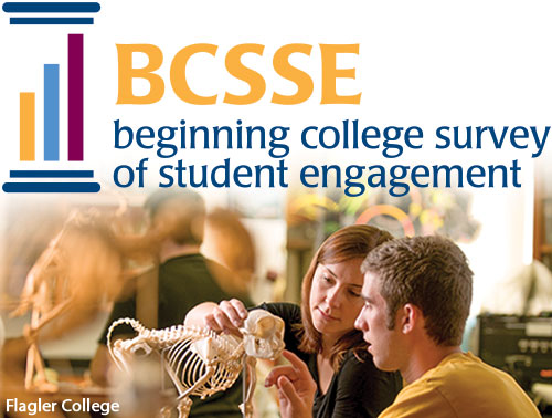 BCSSE 2020