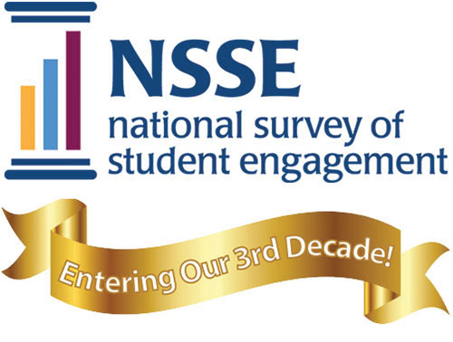 The NSSE logo with a gold ribbon that says "Entering Our 3rd Decade!"